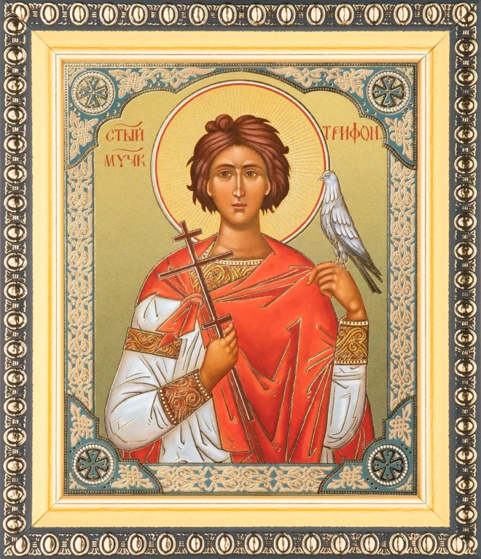 Икона "Трифон Апамейский" 10х12 в раме 13х15