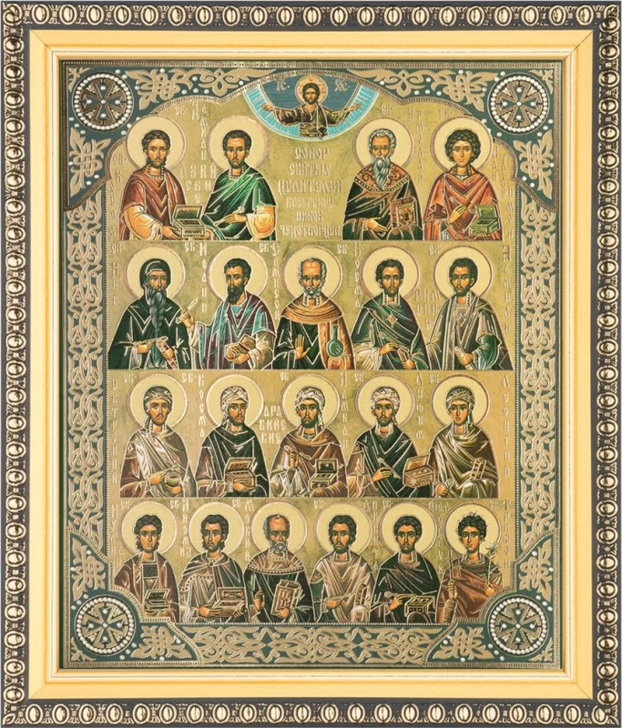 Икона "Собор Целителей" 15х18 в раме 18х21