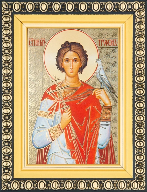 Икона "Трифон Апамейский" 6х9 в раме 8х11