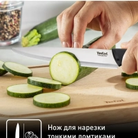Набор ножей Essential K221S255, 2 шт, нержавеющая сталь