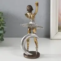 Сувенир полистоун "Маленькая балерина в серебристой пачке и месяц" 11х8х18,2 см Сувенир полистоун "Маленькая балерина в серебристой пачке и месяц" 11х8х18,2 см