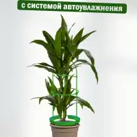 Опора для цветов комнатных с автополивом 57 см