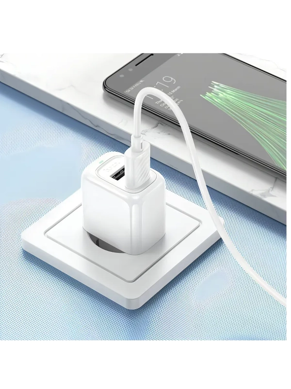 Сетевое зарядное устройство HOCO CS51A с кабелем Type-C Сетевое зарядное устройство HOCO CS51A с кабелем Type-C