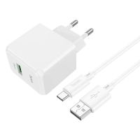 Сетевое зарядное устройство Hoco CS12A + Type-C
