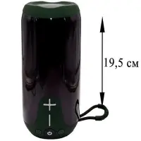 Портативная колонка BOROFONE BR33 (Bluetooth/USB/TF/AUX/светящаяся/5Вт) зеленая
