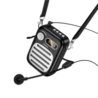 Портативный громкоговоритель с микрофоном L23