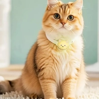 GPS-трекер (метка) с чехлом на ошейник HOCO E91D