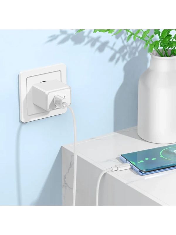 Сетевое зарядное устройство Hoco CS12A + Type-C Сетевое зарядное устройство Hoco CS12A + Type-C