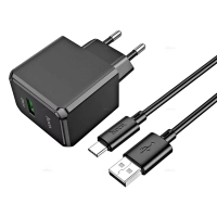 Сетевое зарядное устройство Hoco CS12A + Type-C