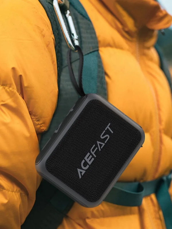 Колонка портативная (Bluetooth+TWS) (черная) ACEFAST K4 GO