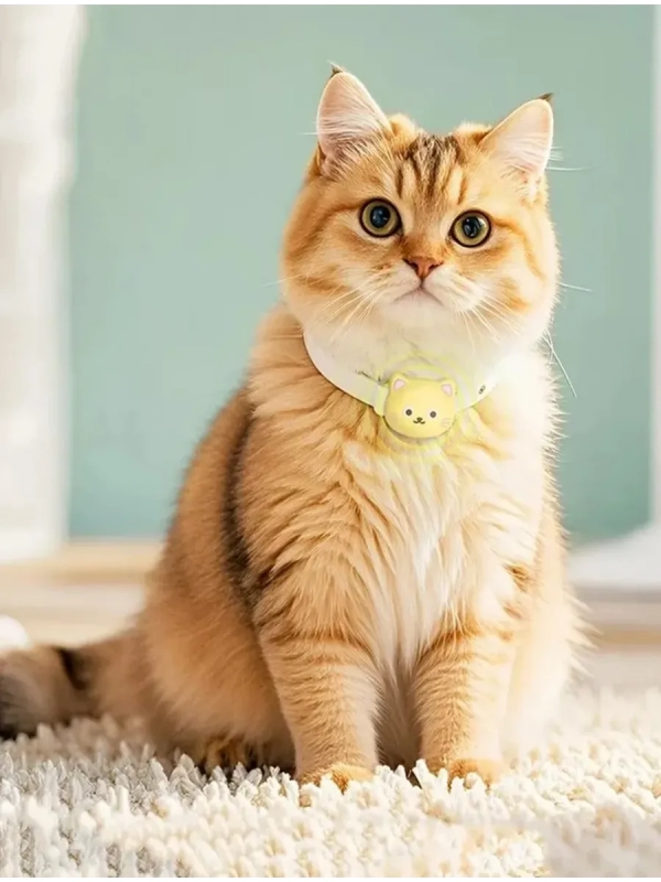 GPS-трекер (метка) с чехлом на ошейник HOCO E91D