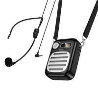 Портативный громкоговоритель с микрофоном L23